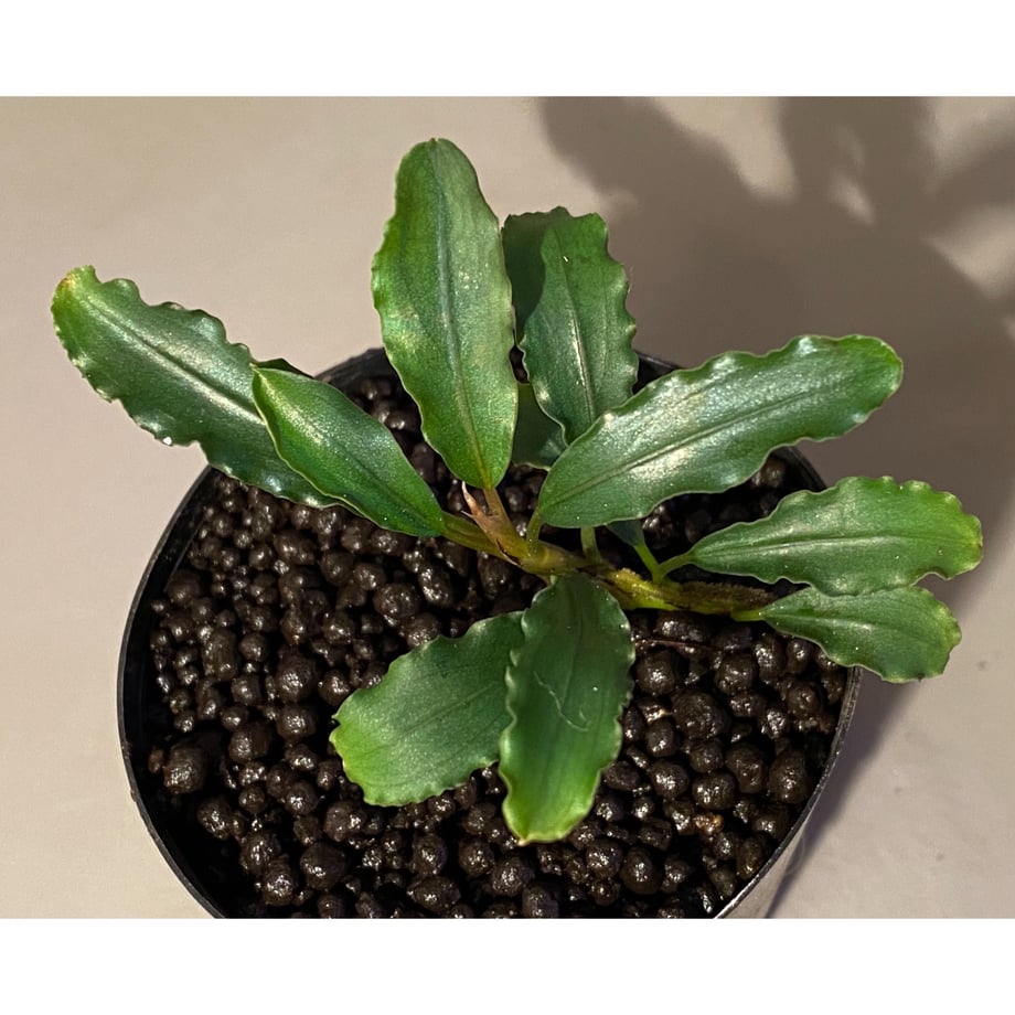 6178fde2c15c5a3804822462