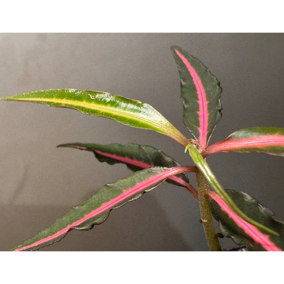 69f0a4c8191eb71a3422d802