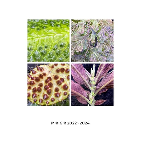 M･R･G･R 2022~2024