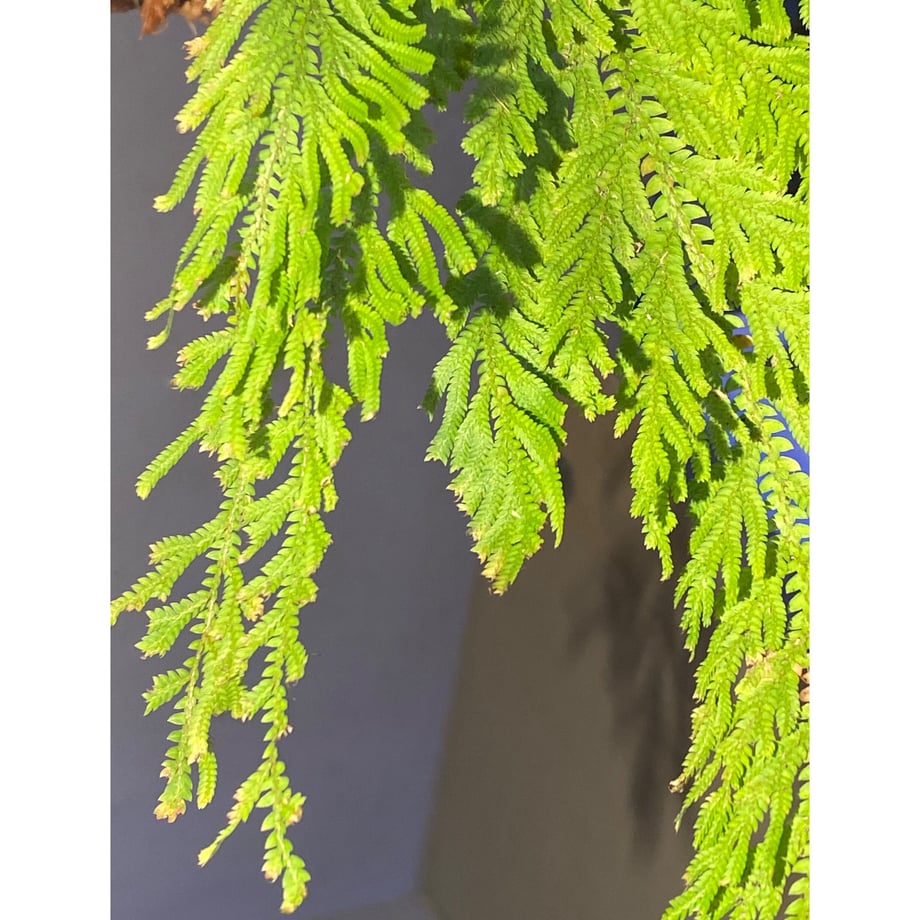 63e8b15934e01703bcea1d8c