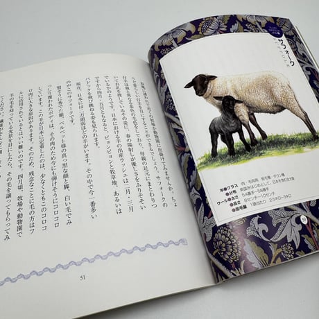 【J1_272】羊の博物誌 /百瀬正香 /日本ヴォーグ社
