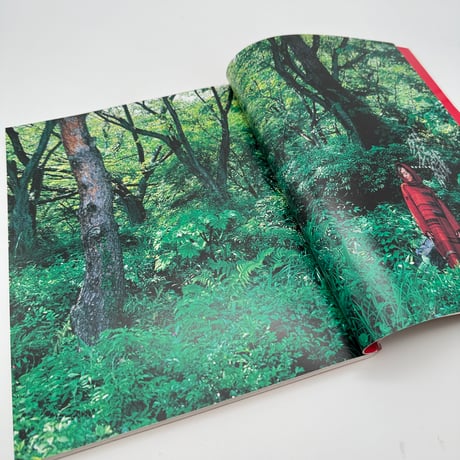 【J1_128】裂織に遊ぶ（創作市場29）/マリア書房