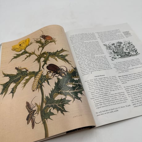 【F1_146】PIECEWORK March/April 1994  /INTERWEAVE PRESS