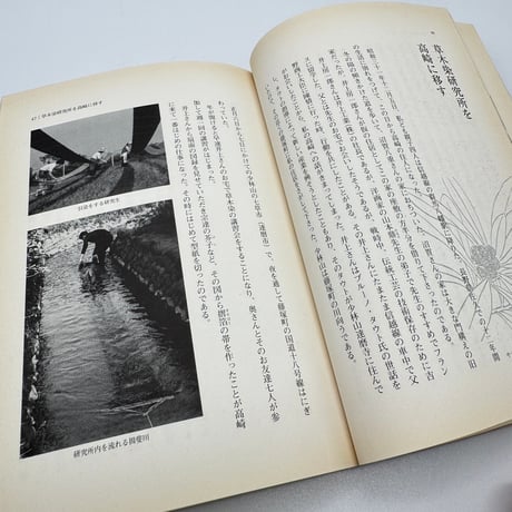 【J1_233】草木染 色を極めて五十年 /山崎青樹 /美術出版社
