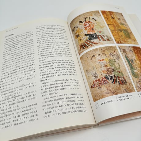 【B7_309】草木染技法全書Ⅰ 糸染・浸し染の基本 /山崎青樹