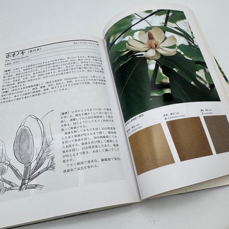 【J1_232】続続 草木染 染料植物図鑑 /山崎青樹 /美術出版社