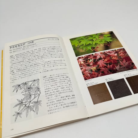 【J1_250】続 草木染 染料植物図鑑 /山崎青樹 /美術出版社
