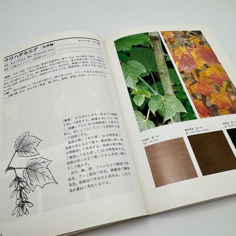 【J1_250】続 草木染 染料植物図鑑 /山崎青樹 /美術出版社