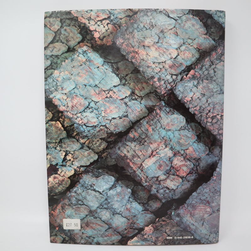 古本】B5_011 The Art Fabric: Mainstream 初版 (大型本)