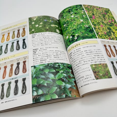 【J1_113】草木の染色工房 身近な草花、樹木を使って/加藤國男/グラフ社