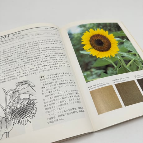 【J1_250】続 草木染 染料植物図鑑 /山崎青樹 /美術出版社