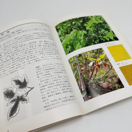 【J1_249】草木染 染料植物図鑑 /山崎青樹 /美術出版社