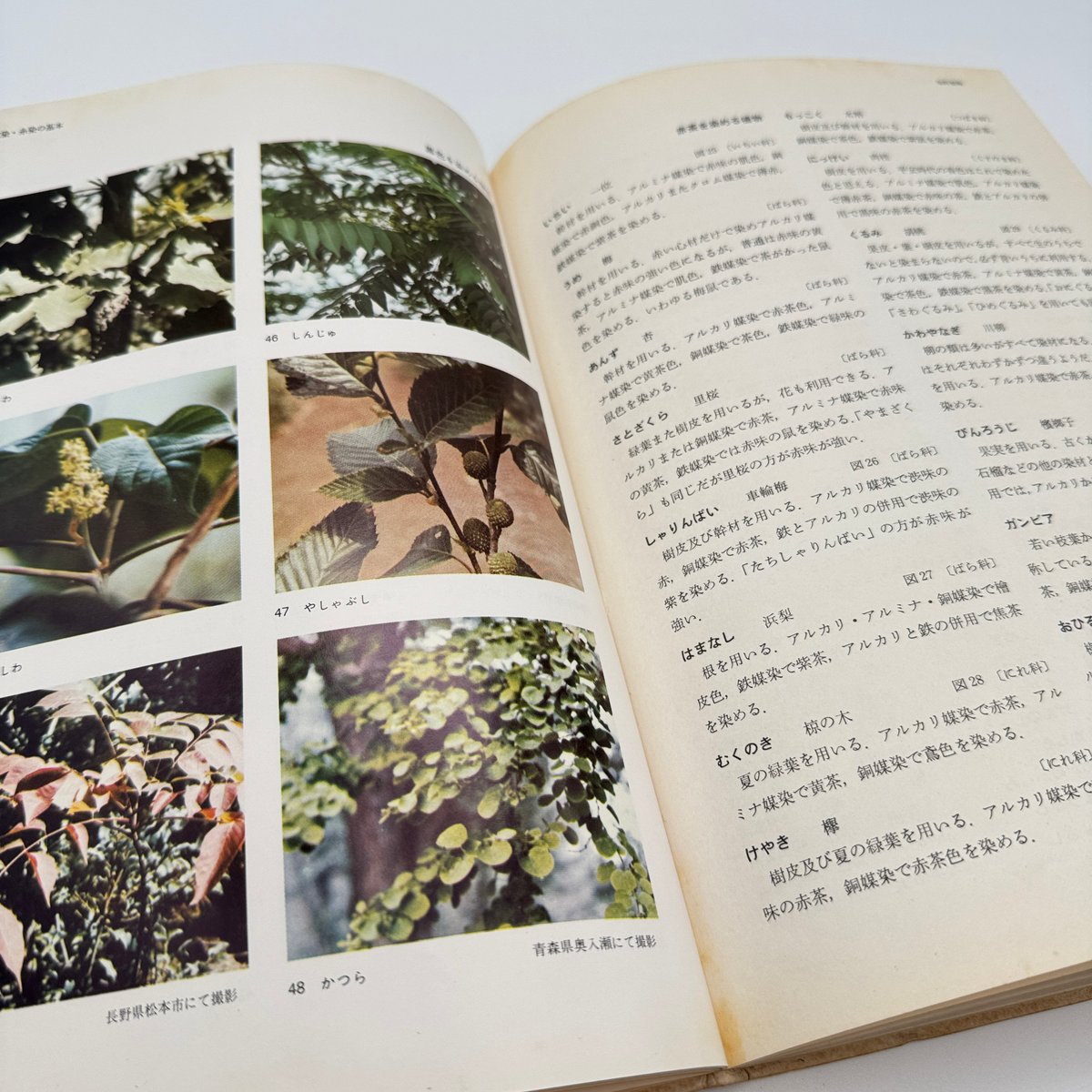 J1_061】草木染・糸染の基本 浸し染の技法（新技法シリーズ）/山崎青樹
