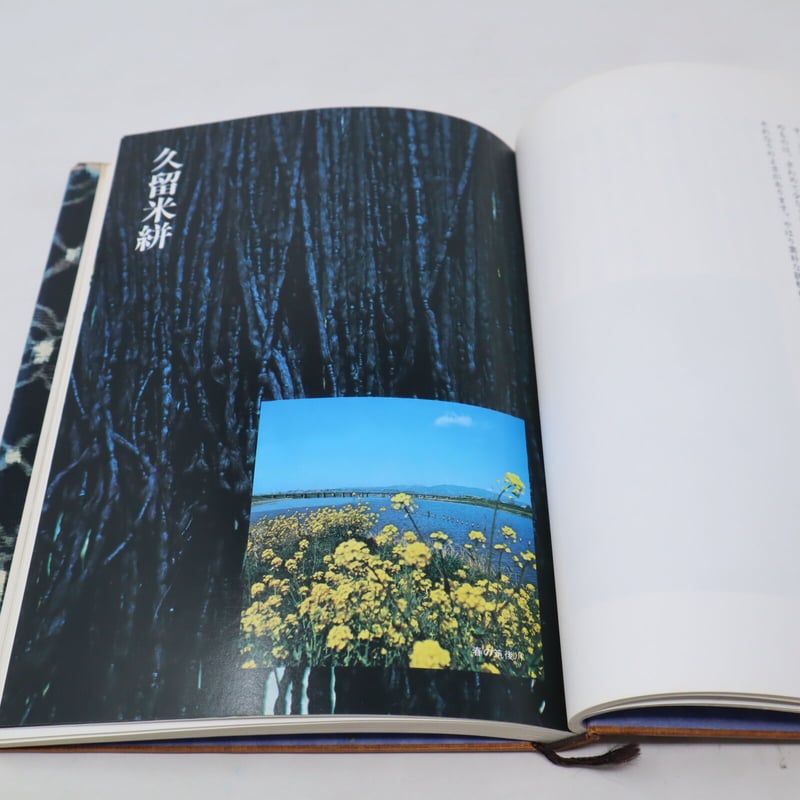 曽ヶ端準 プレミア✨ 9年前のサイン 直筆 自由帳 レア 元日本代表 曽ヶ端準 プレミア✨ 9年前のサイン 直筆 自由帳 レア 元日本代表