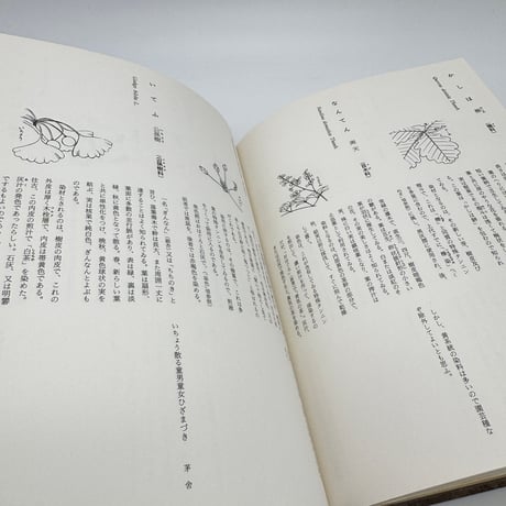 【J1_222】日本草木染譜 記念復刻版 /山崎斌 /染織と生活社