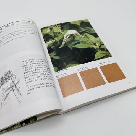 【J1_232】続続 草木染 染料植物図鑑 /山崎青樹 /美術出版社