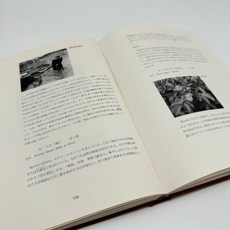 【B7_230】天然染料の研究 理論と実際染色法 /吉岡常雄