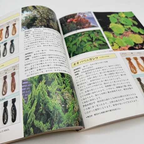 【J1_113】草木の染色工房 身近な草花、樹木を使って/加藤國男/グラフ社