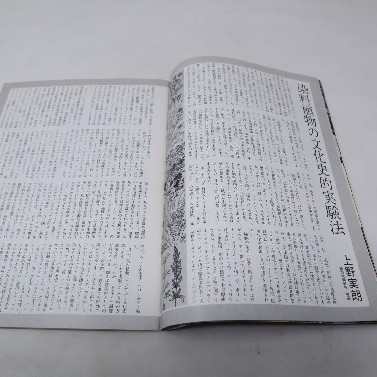 草木染 染色歳時記 草木染 染色歳時記 草木染染色歳時記 / 山崎 青樹【著