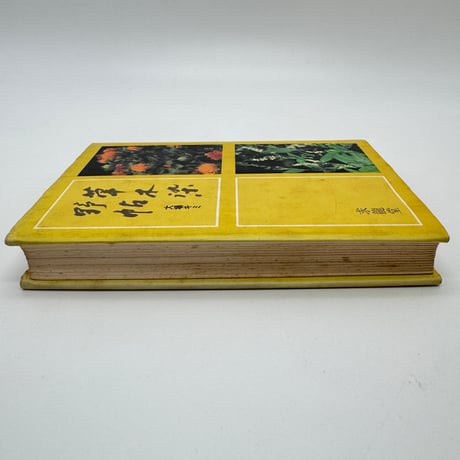 【J1_234】草木染野帖 四季の草木染入門 /大場キミ /求龍堂
