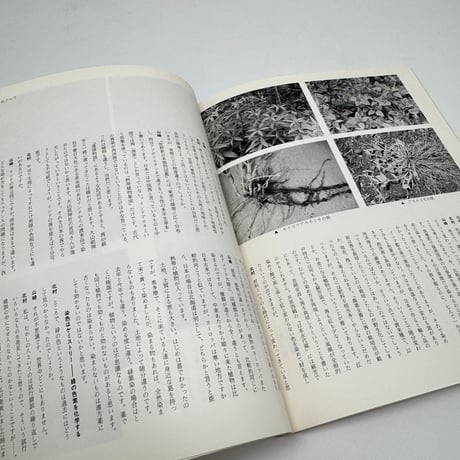 【J1_270】染織 日本の美術12 No.307 /至文堂