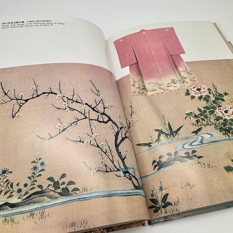 【J1_088】近代の染織 （日本の染織17）/藤井健三/京都書院
