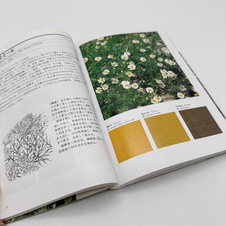 【J1_232】続続 草木染 染料植物図鑑 /山崎青樹 /美術出版社