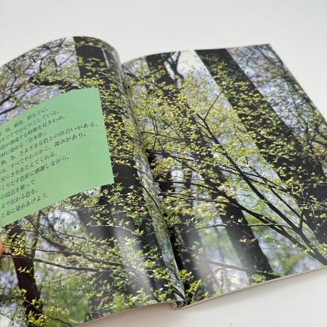 【B7_314】草木染 四季の自然を染める /山崎和樹