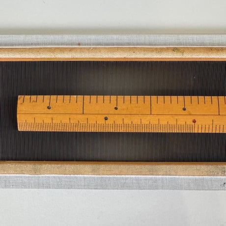 【DA500】金筬 鯨50羽 内寸60cm