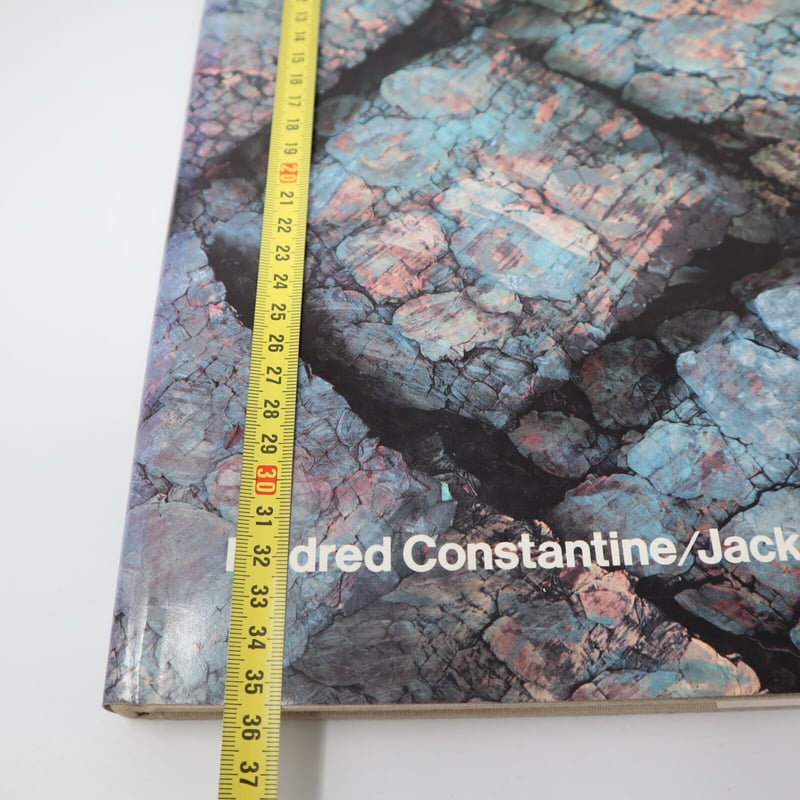 古本】B5_011 The Art Fabric: Mainstream 初版 (大型本)