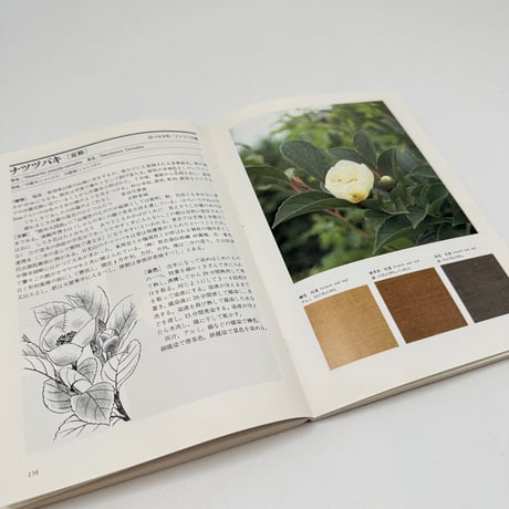 【J1_250】続 草木染 染料植物図鑑 /山崎青樹 /美術出版社