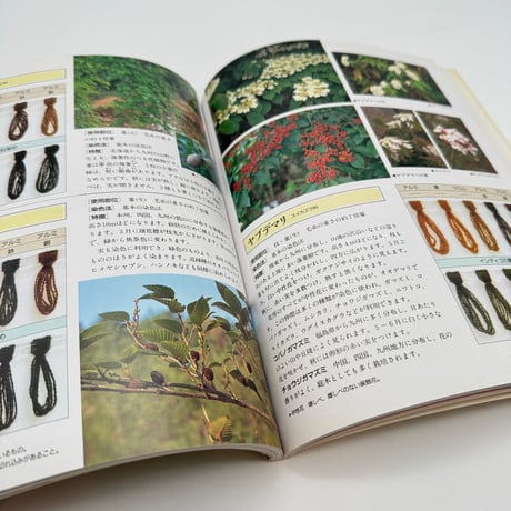 【J1_113】草木の染色工房 身近な草花、樹木を使って/加藤國男/グラフ社