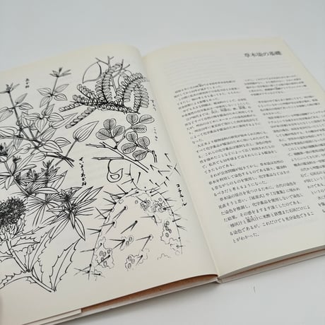 【B7_309】草木染技法全書Ⅰ 糸染・浸し染の基本 /山崎青樹