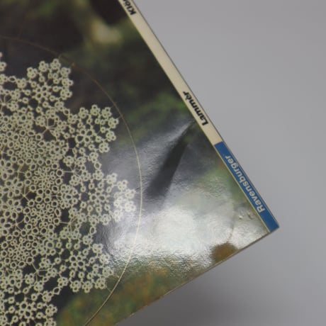 【古本】B4_080　Kloeppeln und Occhi   ボタンレースとタティングレース/ Jutta Lammer