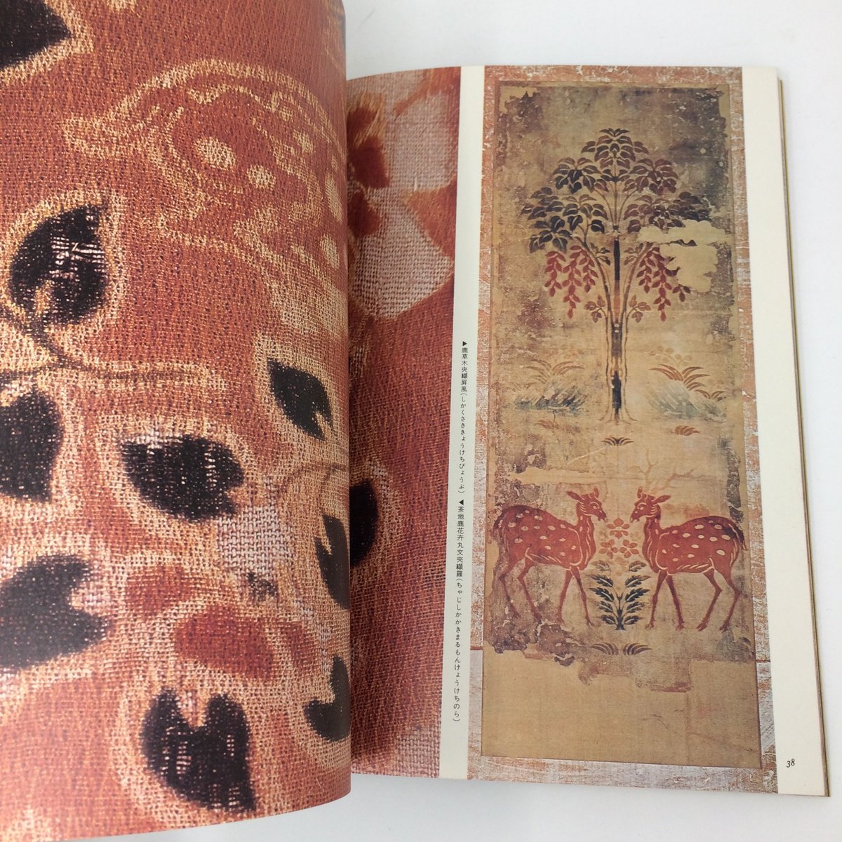 fit=scale-down,w=1200