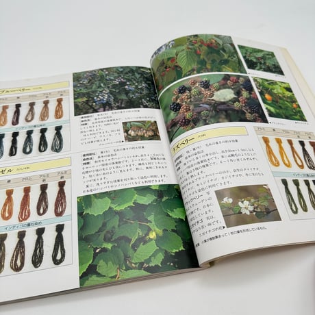 【J1_113】草木の染色工房 身近な草花、樹木を使って/加藤國男/グラフ社