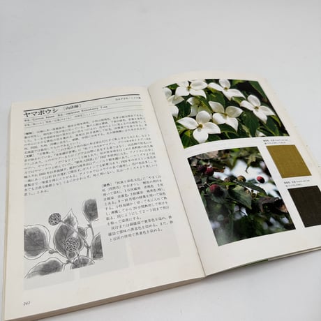 【J1_249】草木染 染料植物図鑑 /山崎青樹 /美術出版社