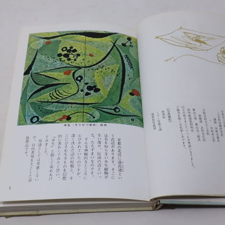 【B4_055】染色入門　/  佐野猛夫