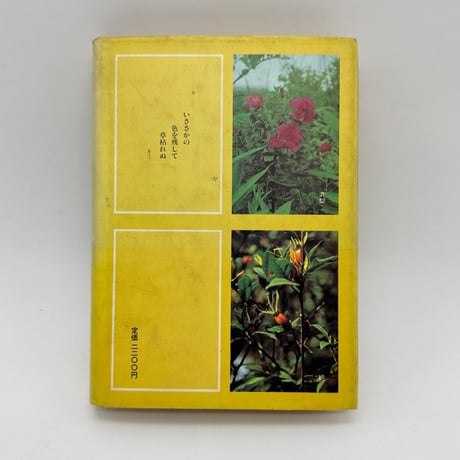 【J1_234】草木染野帖 四季の草木染入門 /大場キミ /求龍堂