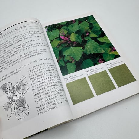 【J1_232】続続 草木染 染料植物図鑑 /山崎青樹 /美術出版社