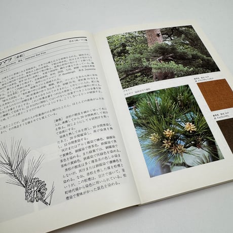 【J1_250】続 草木染 染料植物図鑑 /山崎青樹 /美術出版社