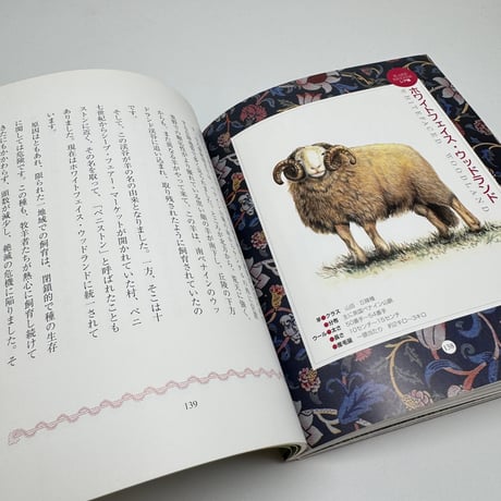【J1_272】羊の博物誌 /百瀬正香 /日本ヴォーグ社