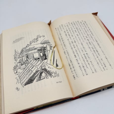 【J1_260】草木染 /山崎斌 /文芸春秋新社