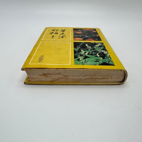 【J1_234】草木染野帖 四季の草木染入門 /大場キミ /求龍堂