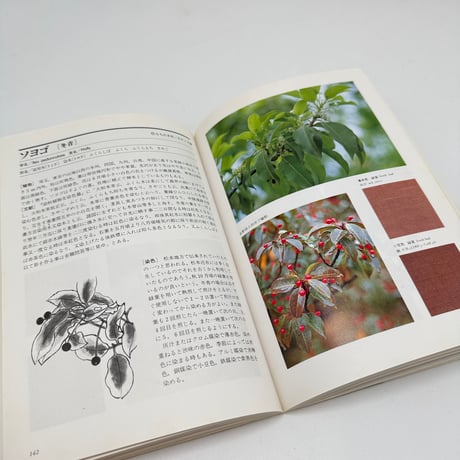 【J1_249】草木染 染料植物図鑑 /山崎青樹 /美術出版社