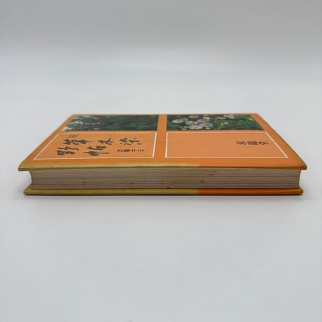 【J1_235】続 草木染野帖 四季の草木染入門 /大場キミ /求龍堂