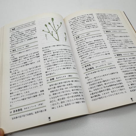 【J1_231】草木染 日本色名事典 /山崎 青樹 /美術出版社