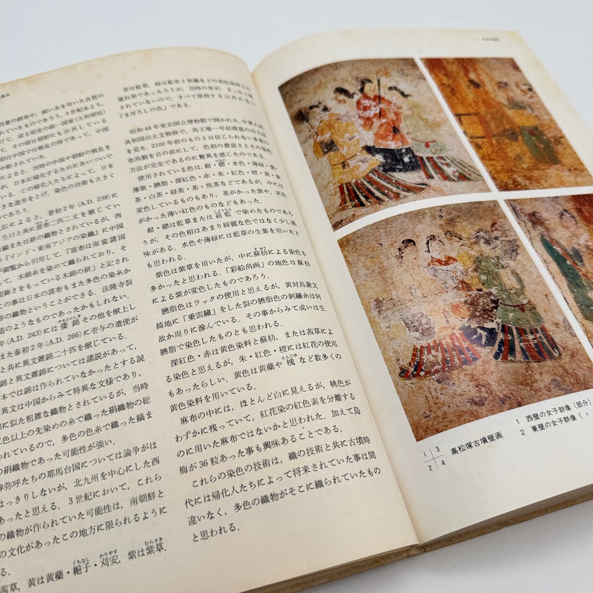 J1_061】草木染・糸染の基本 浸し染の技法（新技法シリーズ