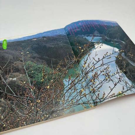【J1_291】染織の美  28  Textile Art Spring 1984 /京都書院