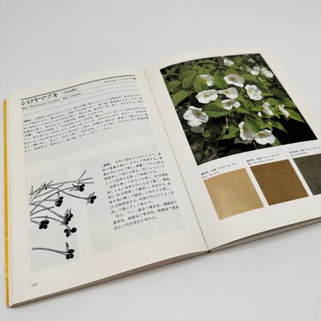 【J1_250】続 草木染 染料植物図鑑 /山崎青樹 /美術出版社